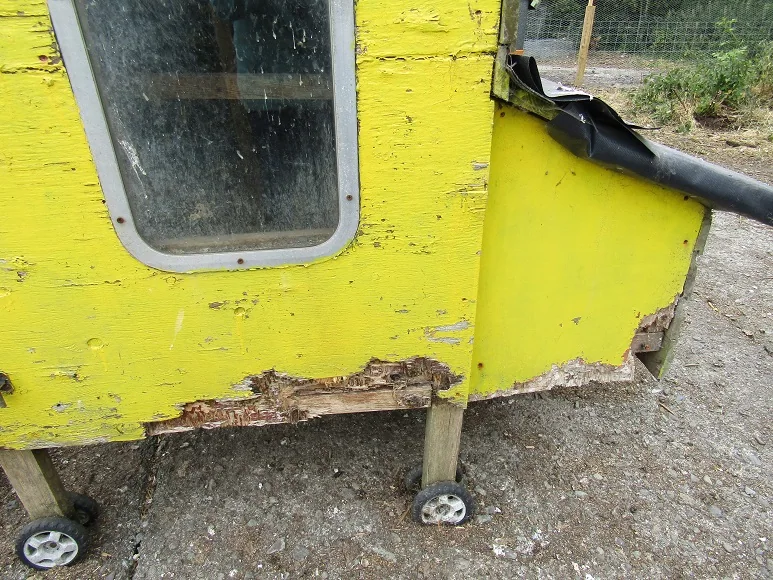 Chicken Run — photograph 1