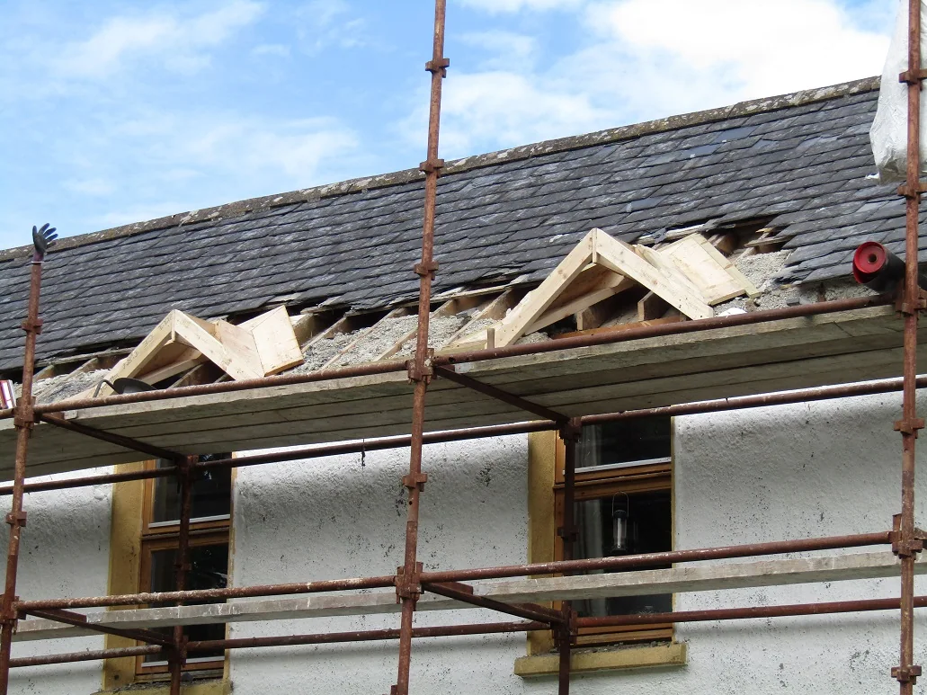 New Roof — photograph 4