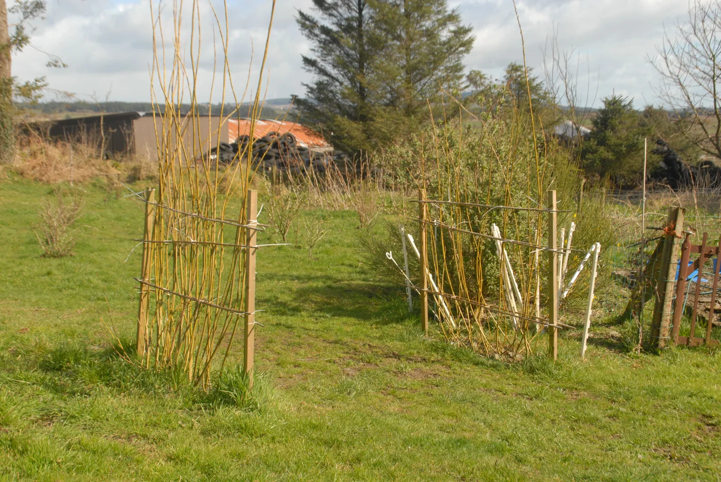 The Garden — photograph 9