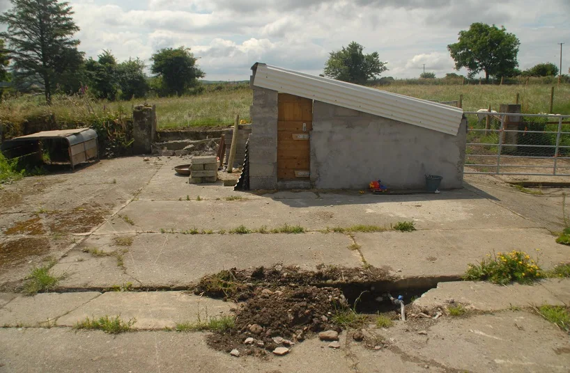 The Yard — photograph 5
