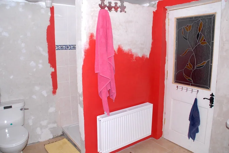 Finally, a Bathroom — photograph 7