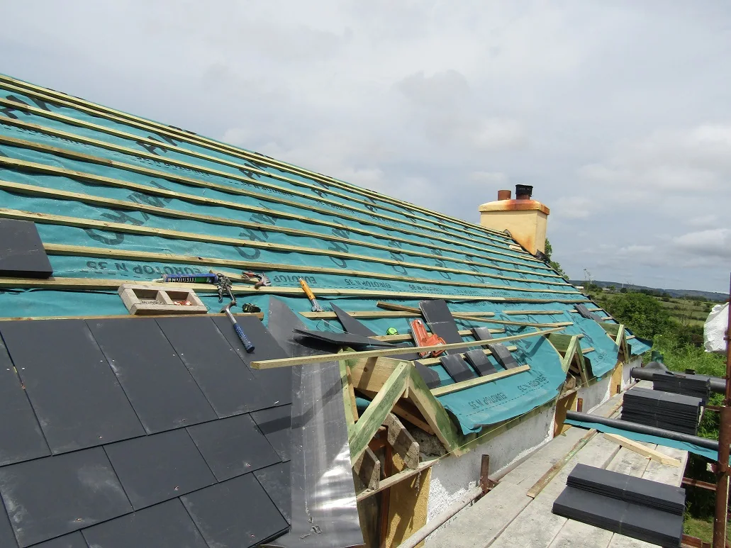 New Roof — photograph 5