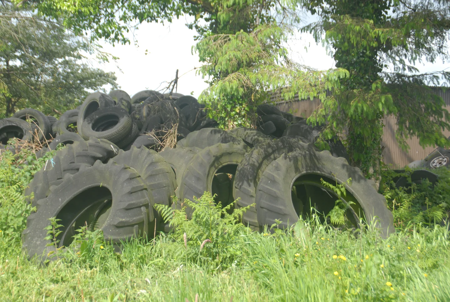 The Garden — photograph 4