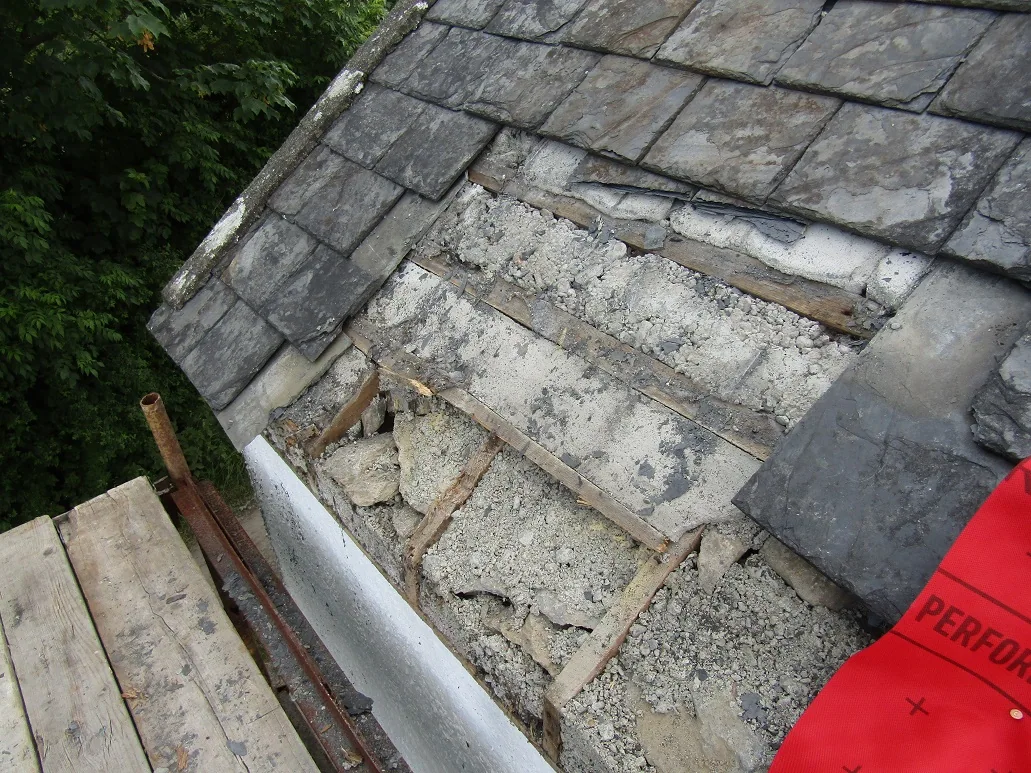 New Roof — photograph 3