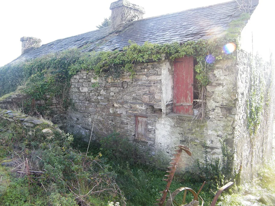 House Search — photograph 2
