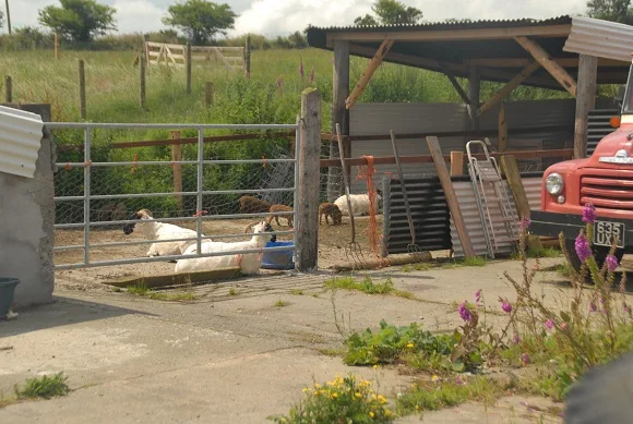 The Yard — photograph 11