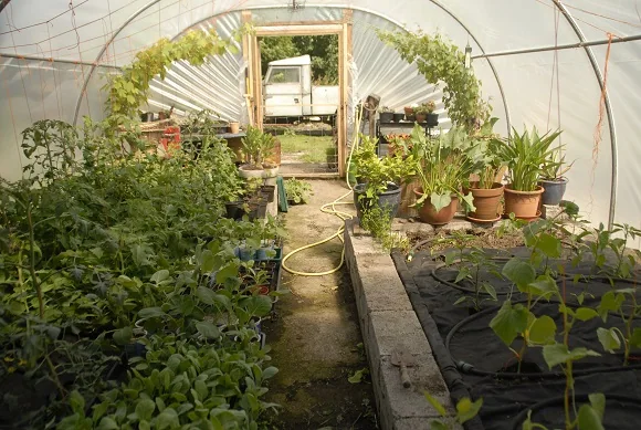 The Yard — photograph 8