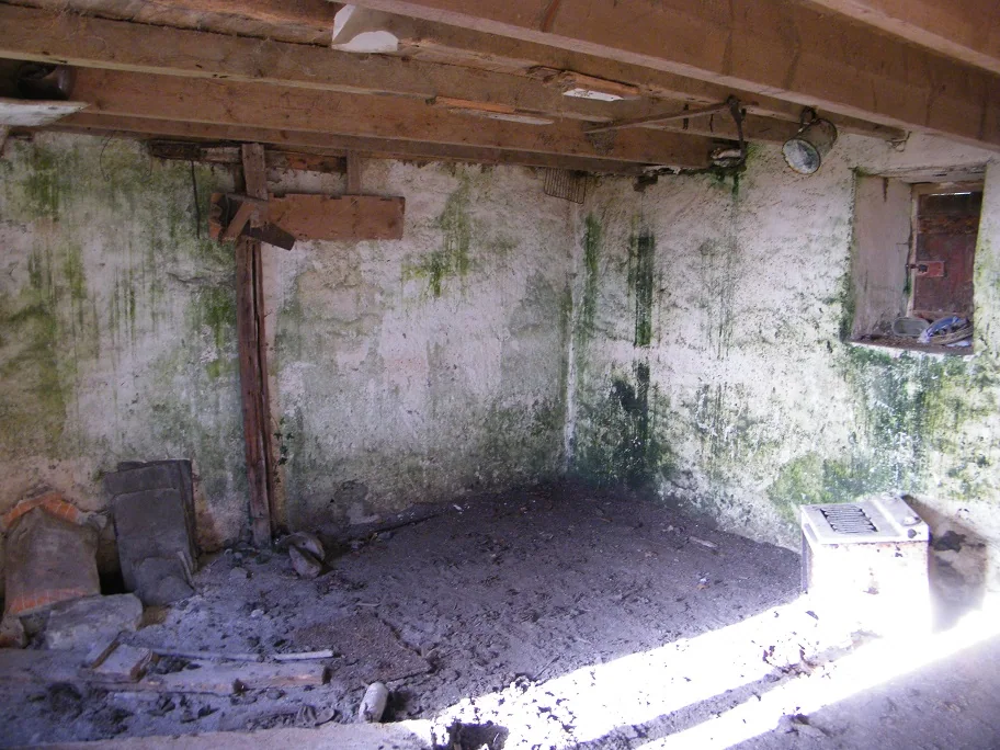 House Search — photograph 3