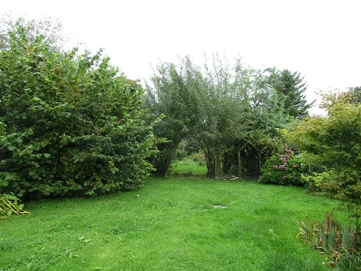 The Garden — photograph 10