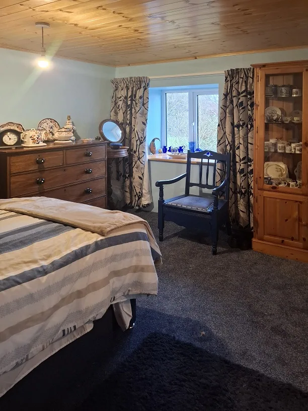 New Downstairs Bedroom — photograph 7
