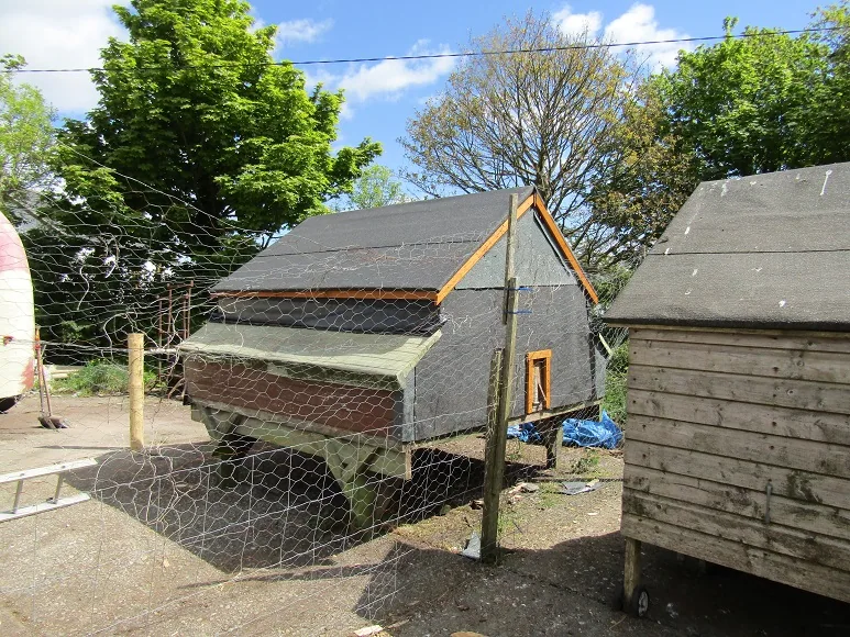 Chicken Run — photograph 9