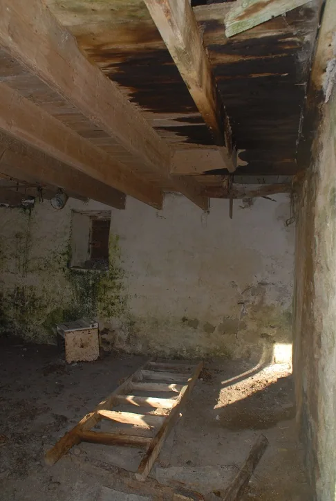 House Search — photograph 6