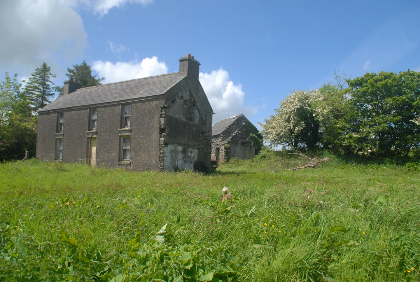 The Garden — photograph 1