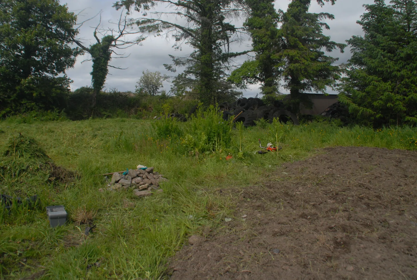 The Garden — photograph 5