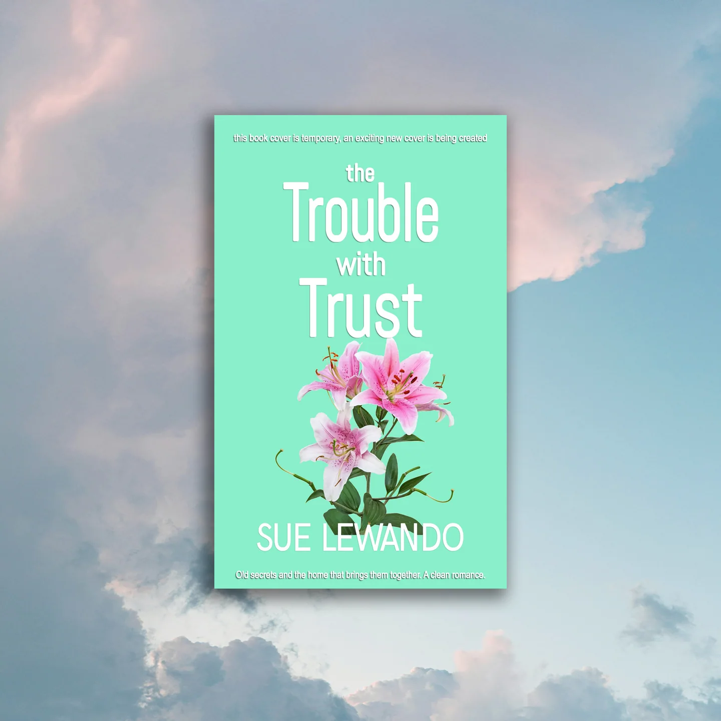 The Trouble with Trust by Sue Lewando, book cover
