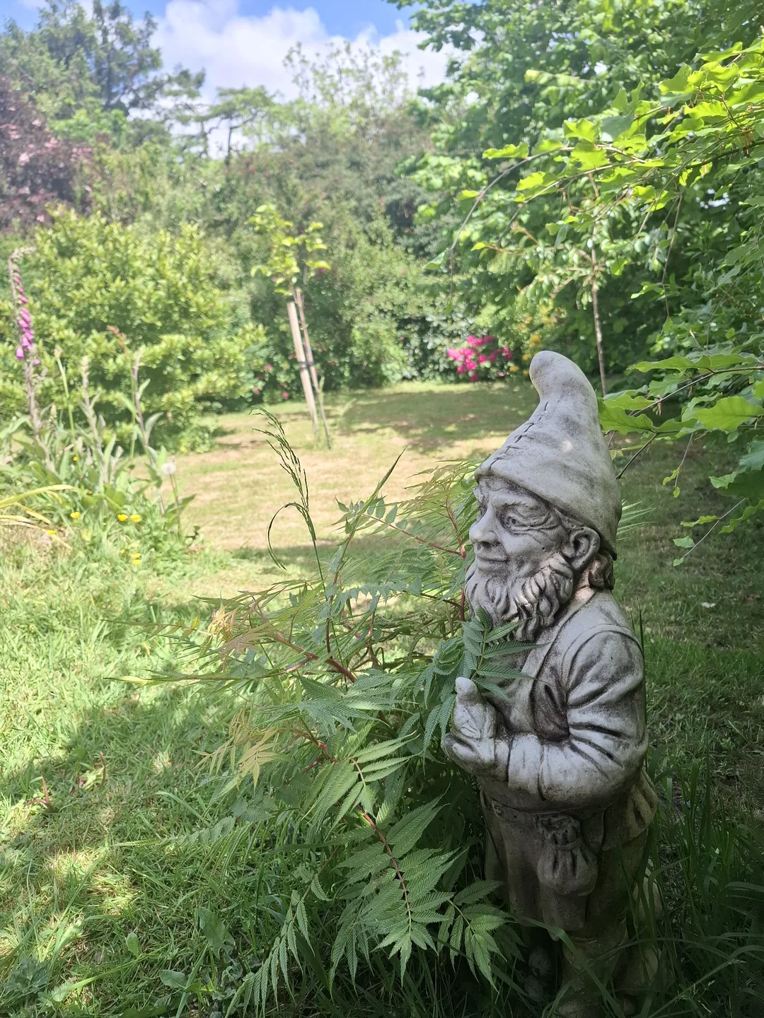 The Garden — photograph 12