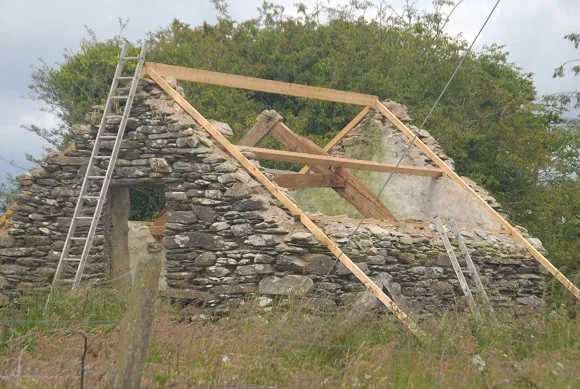 The Home Front: The Tigín — photograph 8