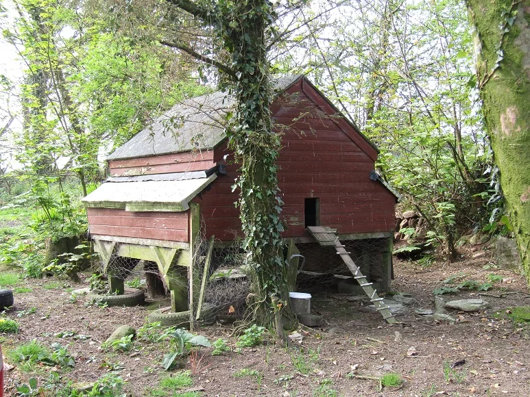 Chicken Run — photograph 2