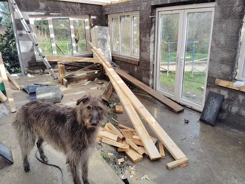 Garden Room — photograph 6