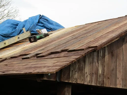 Garden Shed — photograph 6