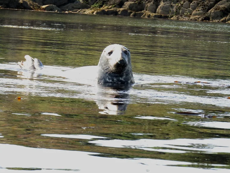 Canoeing from Tralispean — photograph 4