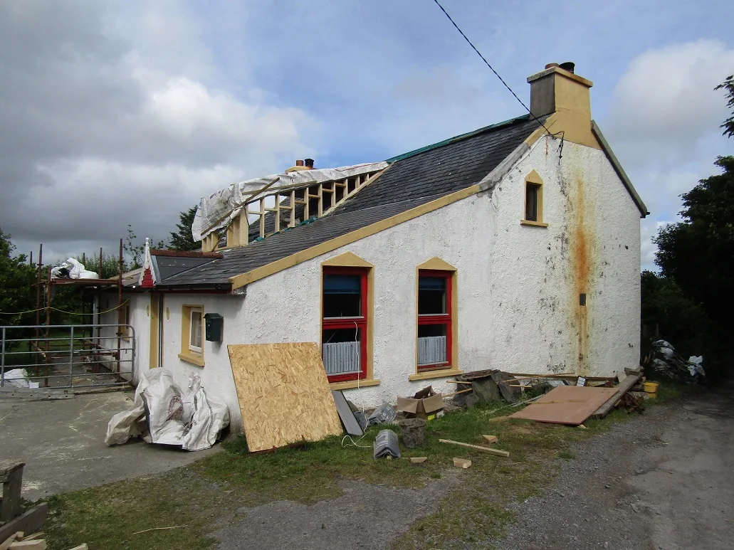 New Roof — photograph 10