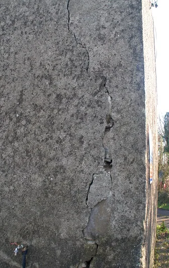 Our Irish Wreck. — photograph 5