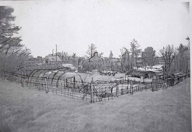 The Yard — photograph 2