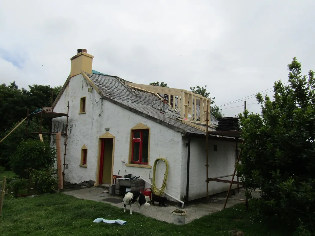New Roof — photograph 9