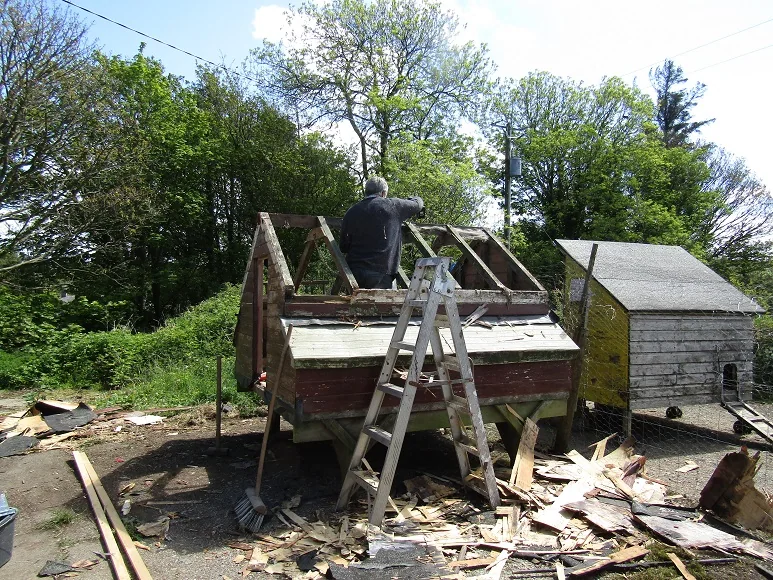 Chicken Run — photograph 7