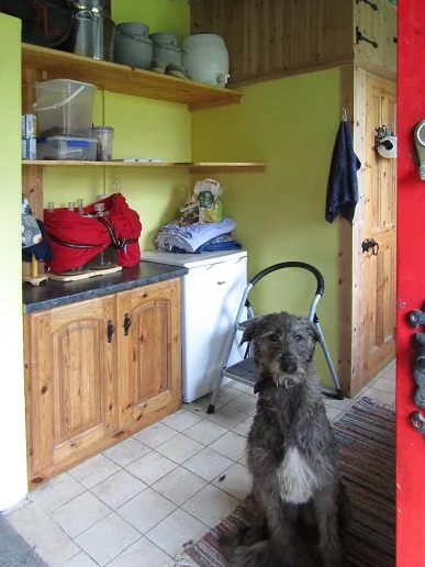 Making a Utility Room — photograph 6